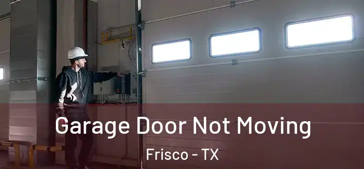  Garage Door Not Moving Frisco - TX