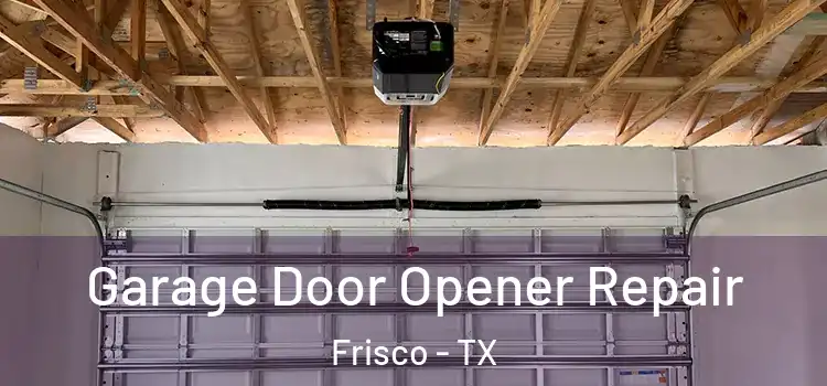  Garage Door Opener Repair Frisco - TX