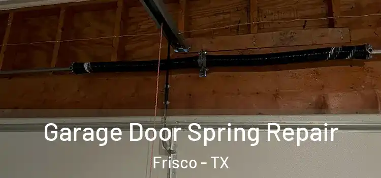  Garage Door Spring Repair Frisco - TX