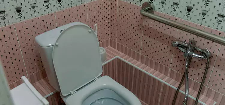 Meeting Diverse Needs With Accessible Restroom Solutions in Frisco, TX