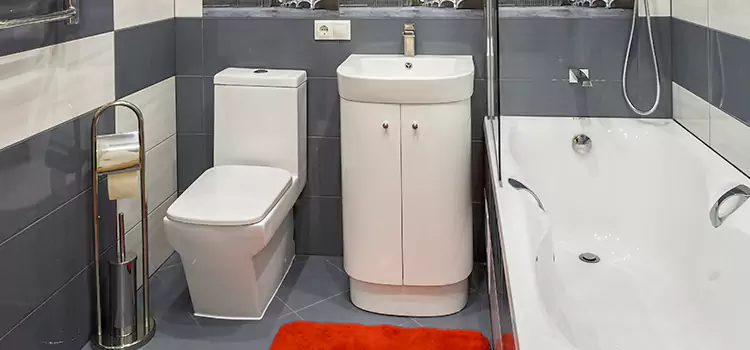Hansgrohe Shaving Mirror Frisco