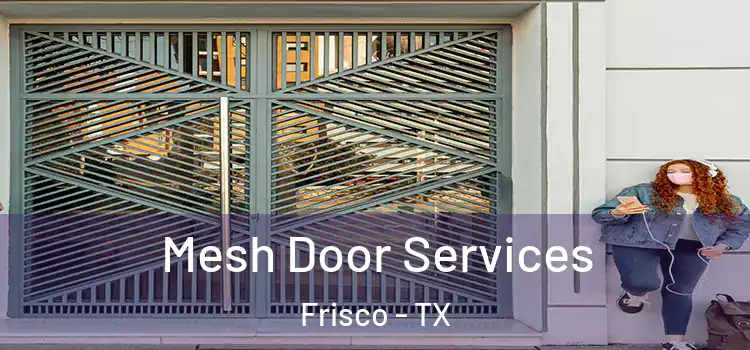  Mesh Door Services Frisco - TX